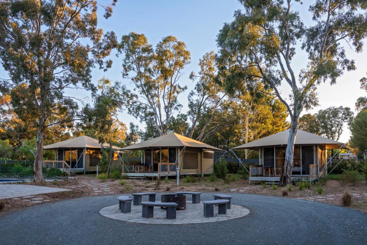 Discovery Parks – Barossa Valley Tanunda Exterior foto